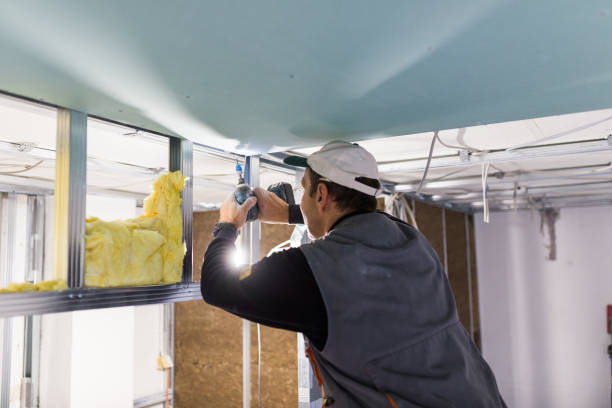 Best Commercial Insulation in Whitewater, WI